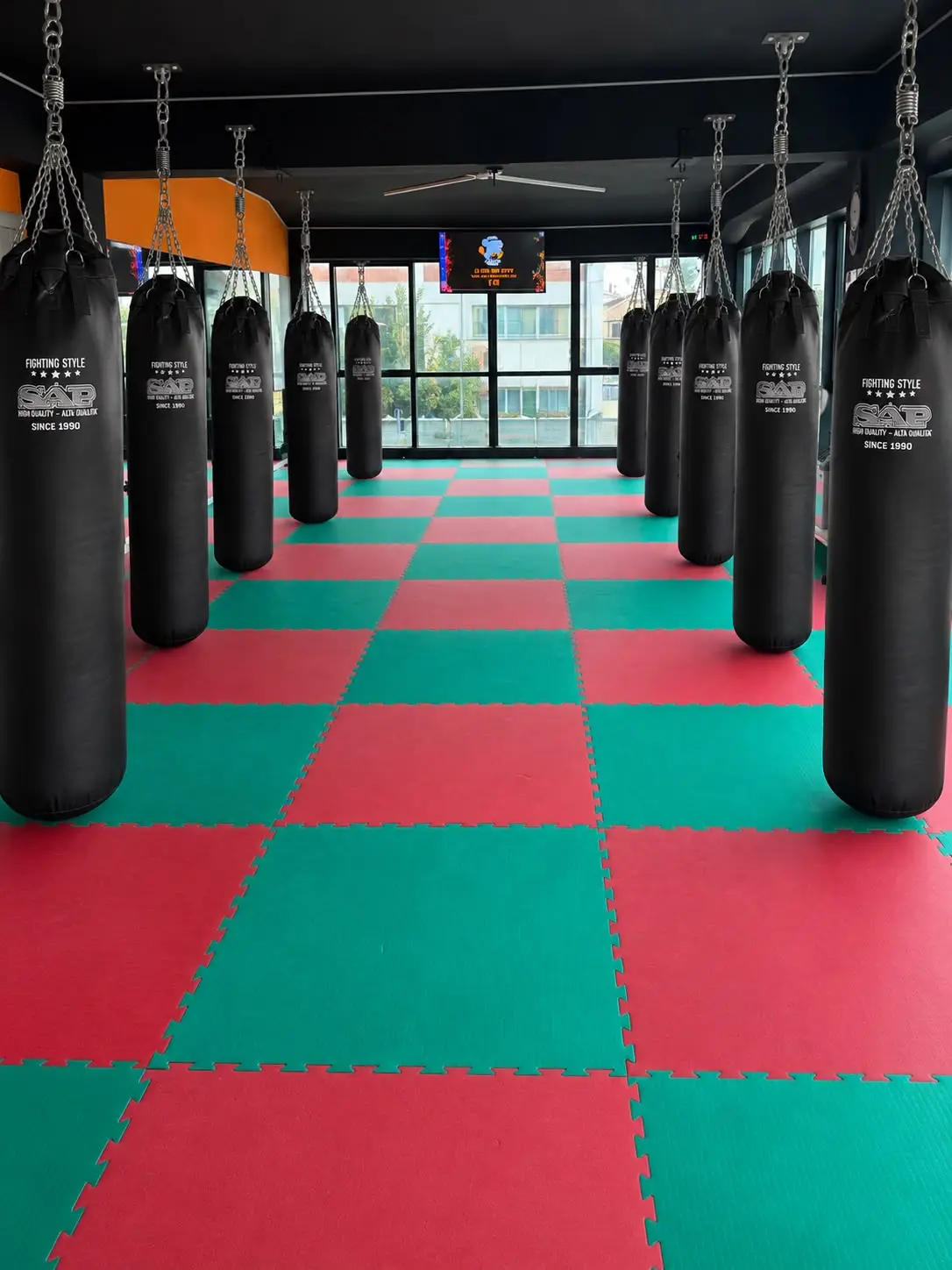 L'area combat con i sacchi pesanti appesi e il tatami rosso e verde